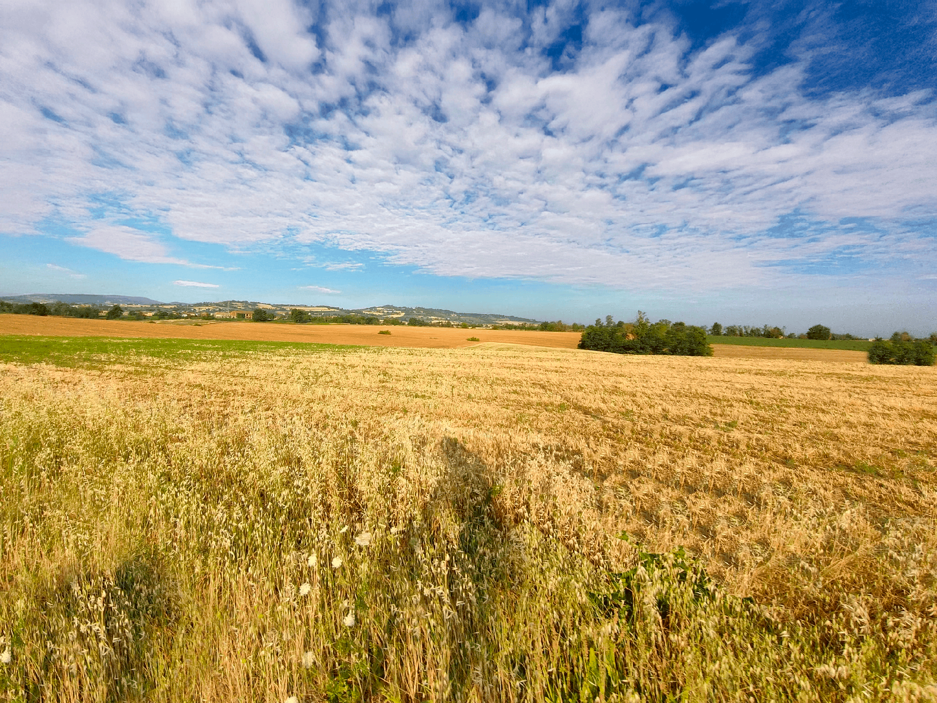 anello-agazzano_sarturano-copia